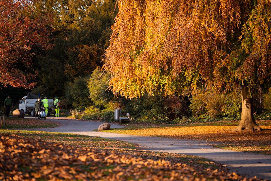 Same day rubbish removal near Morden Hall Park
